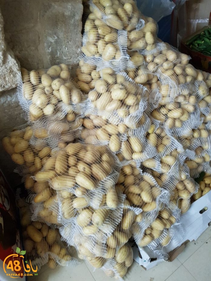 lud lajna zakahshd (11).jpg